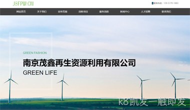 南京茂鑫网站案例